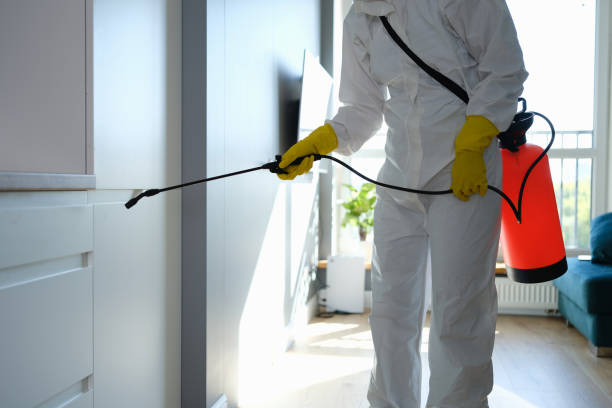 Best Residential Mold Removal  in Fort Denaud, FL