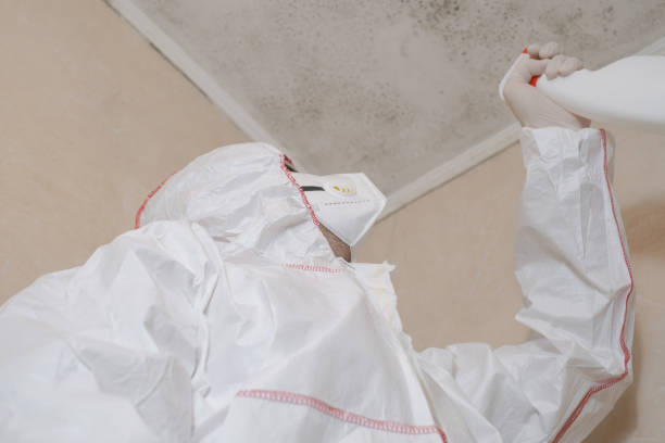 Best Crawl Space Mold Removal  in Fort Denaud, FL