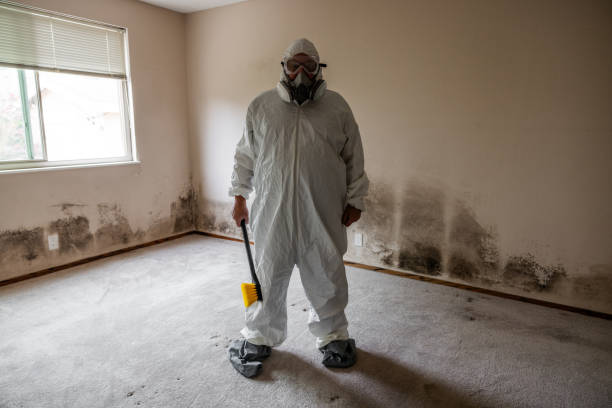 Best Mold Removal and Inspection  in Fort Denaud, FL